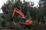 Zeni TNI AD Program Cetak Sawah di Sembilan Provinsi