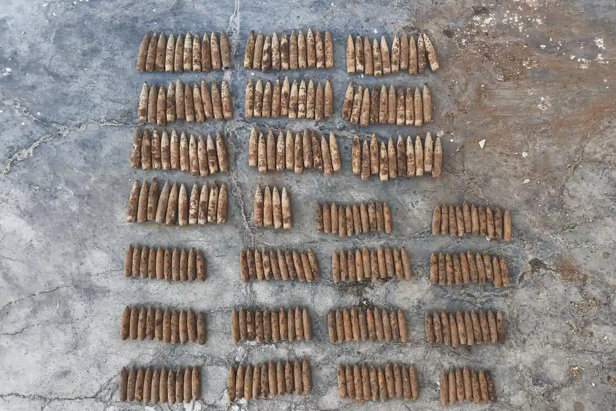 Pengangkut Sampah Temukan Ratusan Proyektil Peluru di TPS Banyuwangi