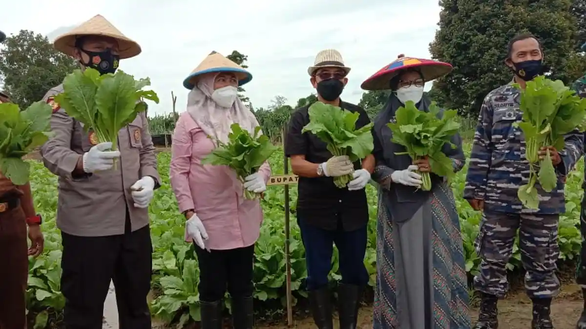 Kampung Tangguh di Desa Persiapan, Mutiara Pinang Sangatta Selatan Mandiri Hadapi Pandemi Covid-19
