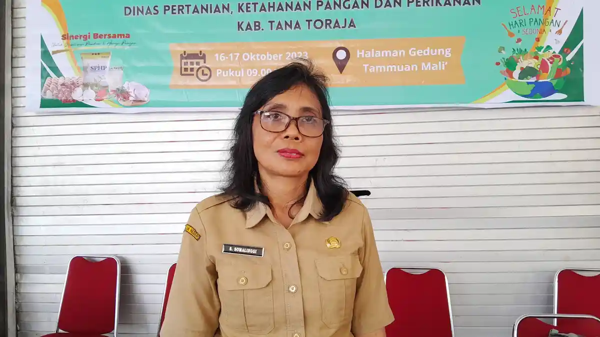 Beras Mahal, DPKPP Tana Toraja Salurkan Bantuan Cadangan Pangan
