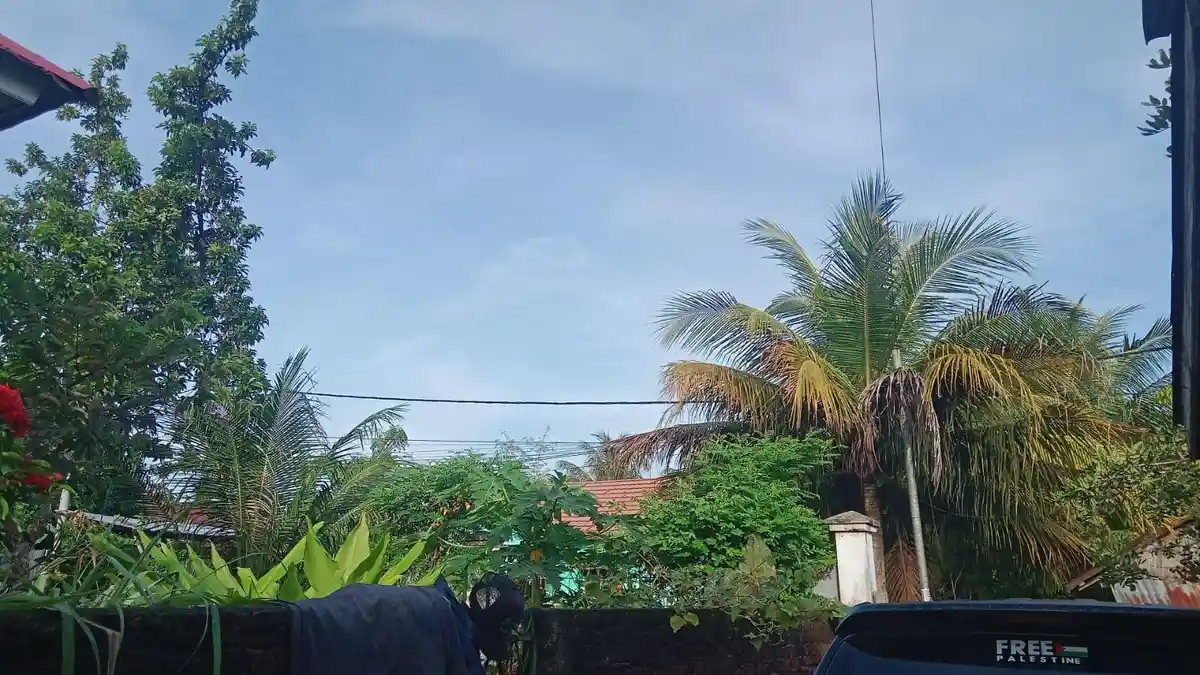 Update Prakiraan Cuaca Seluma Bengkulu Hari Ini Minggu 9 Maret 2025
