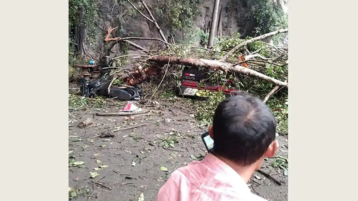 Tiga Kendaraan Warga Songan Bangli Tertimpa Pohon Tumbang