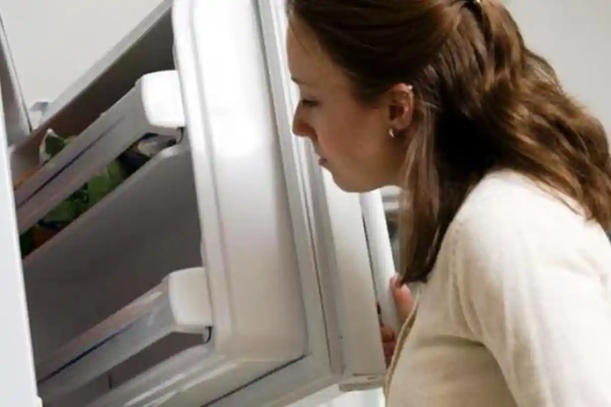 Perhatikan Hal Ini Jika Ingin Memasukkan Makanan Sisa ke Dalam Kulkas, Jangan Salah !