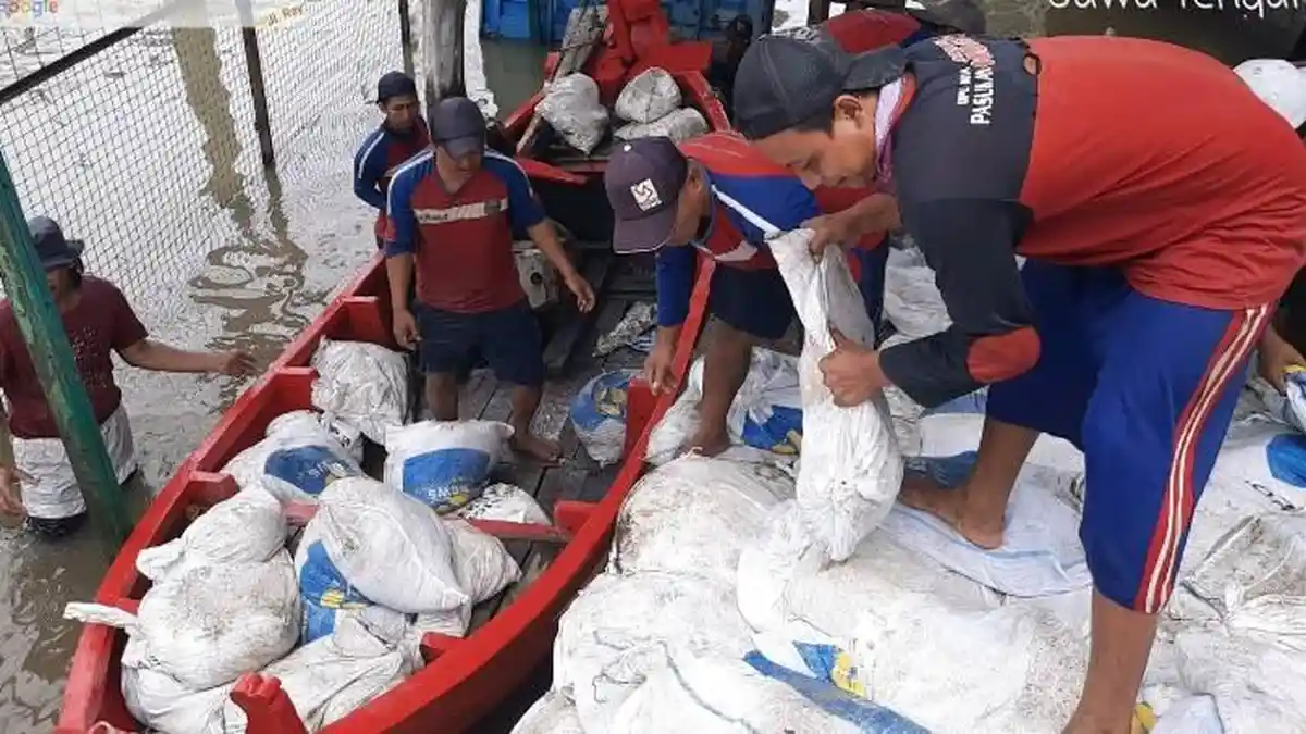 Tanggul Jebol Penyebab Banjir Rob Parah di Semarang Mulai Diperbaiki