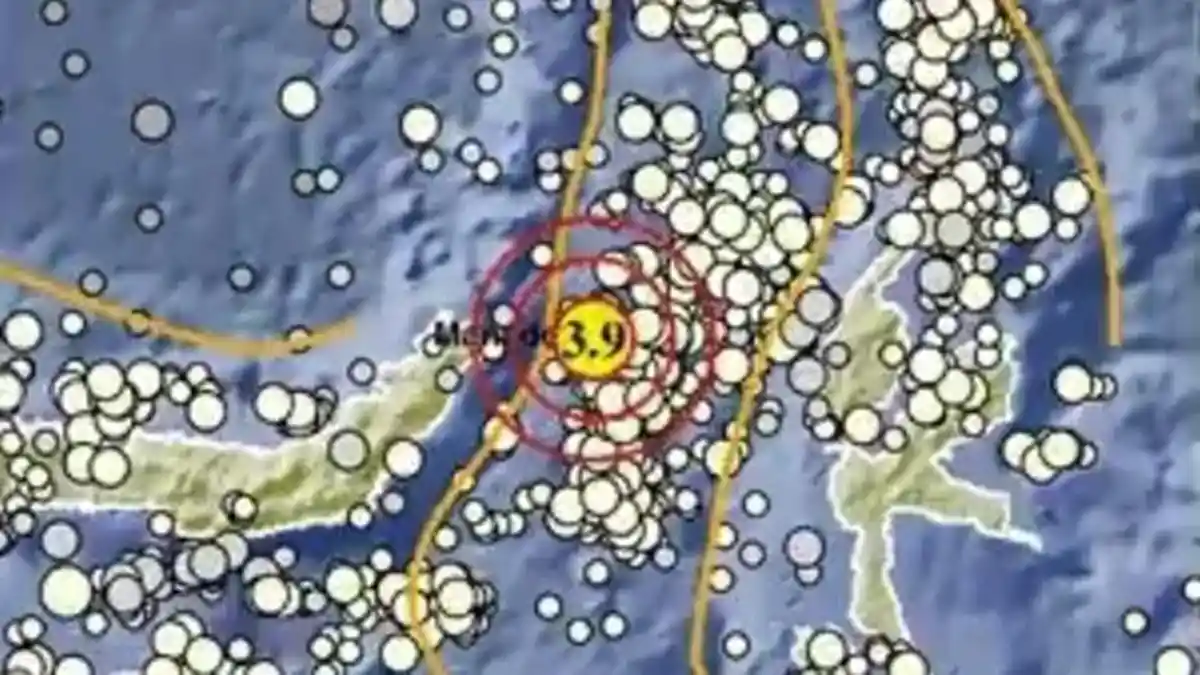 Gempa di Bitung Senin 27 November 2023, Info BMKG Magnitudonya