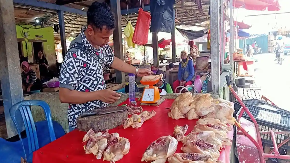 Harga Ayam Potong di Muratara Tembus Rp 48 Ribu per Kg, Kadisperindagkop Sebut Wajar
