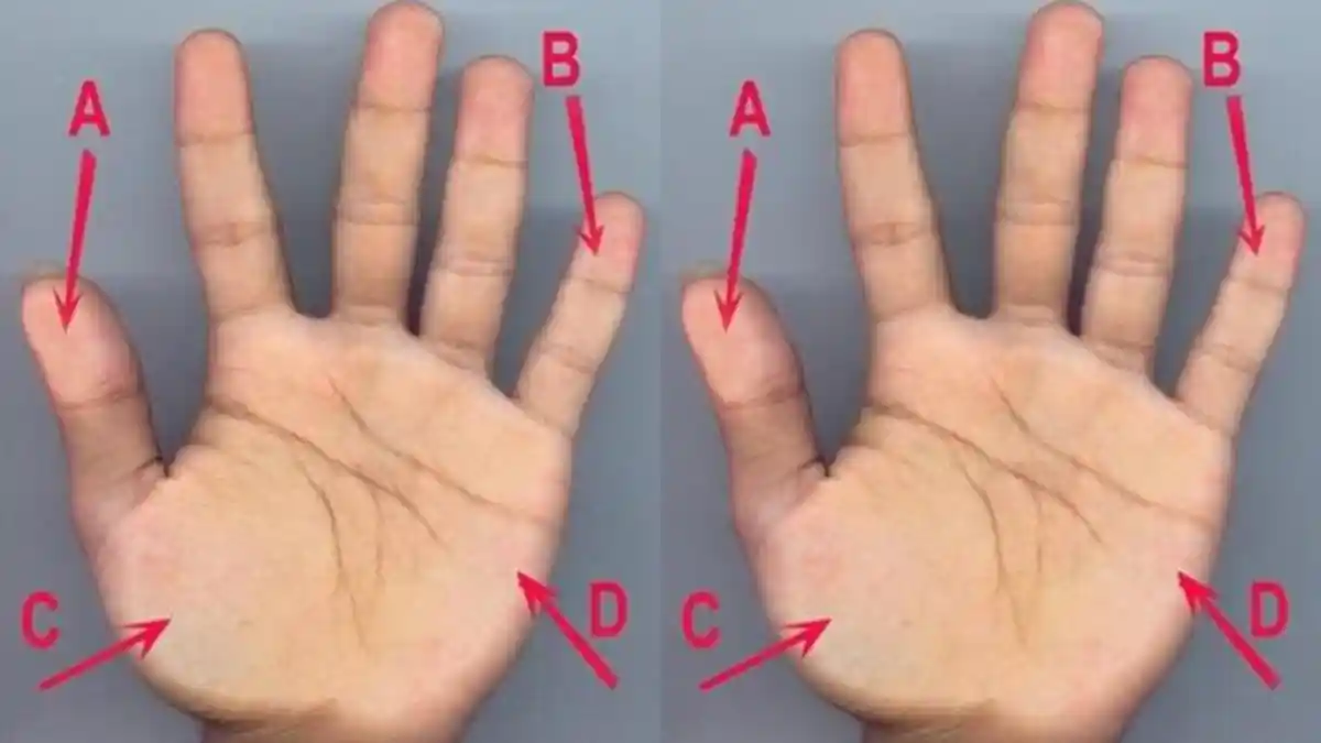 Punya Garis Telapak Tangan Seperti ini, Kemungkinan Anda Bisa jadi Kaya-Raya
