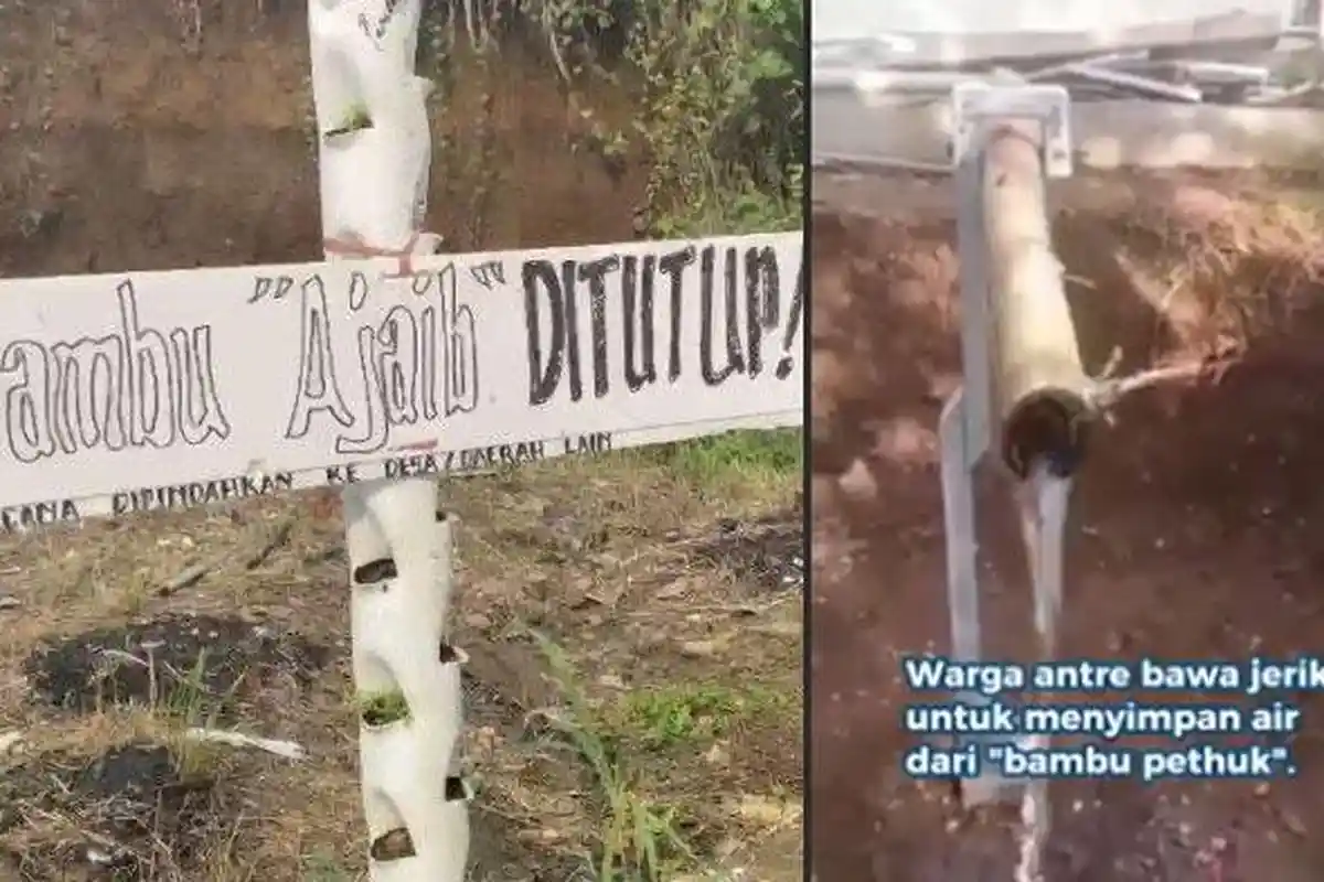 Pembuat Bambu Ajaib yang Mengeluarkan Air Tak Mau Ungkap Rahasia, Sempat Dianggap Keramat oleh Warga