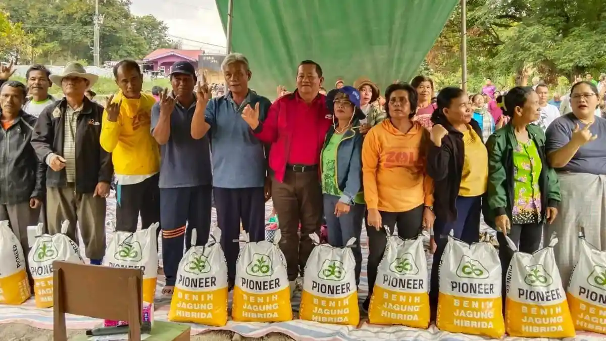 Negara Defisit, Petani Samosir Bersyukur Ketua DPD PDIP Sumut Bisa Bawa 6 Ton Benih Jagung Pioner 32
