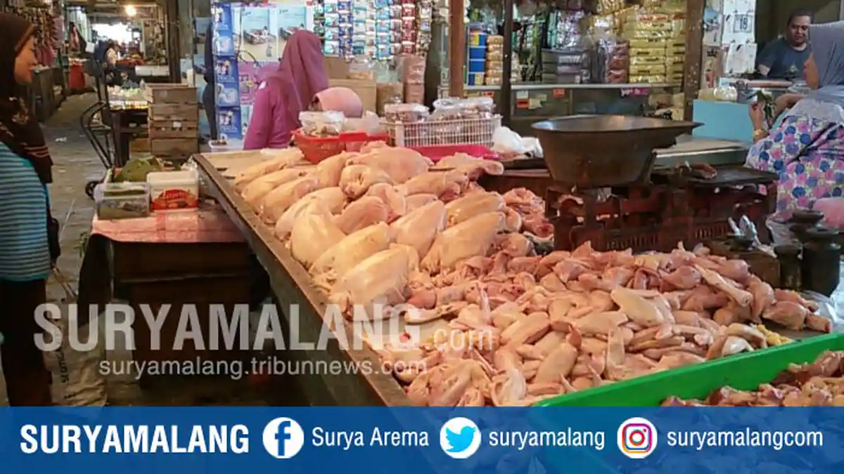 Harga Daging Ayam Potong Naik, Pedagang Pasar Kepanjen Mengeluh
