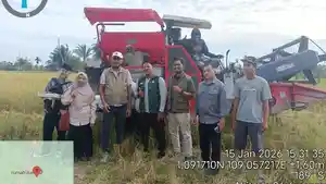 serap-gabah.jpg