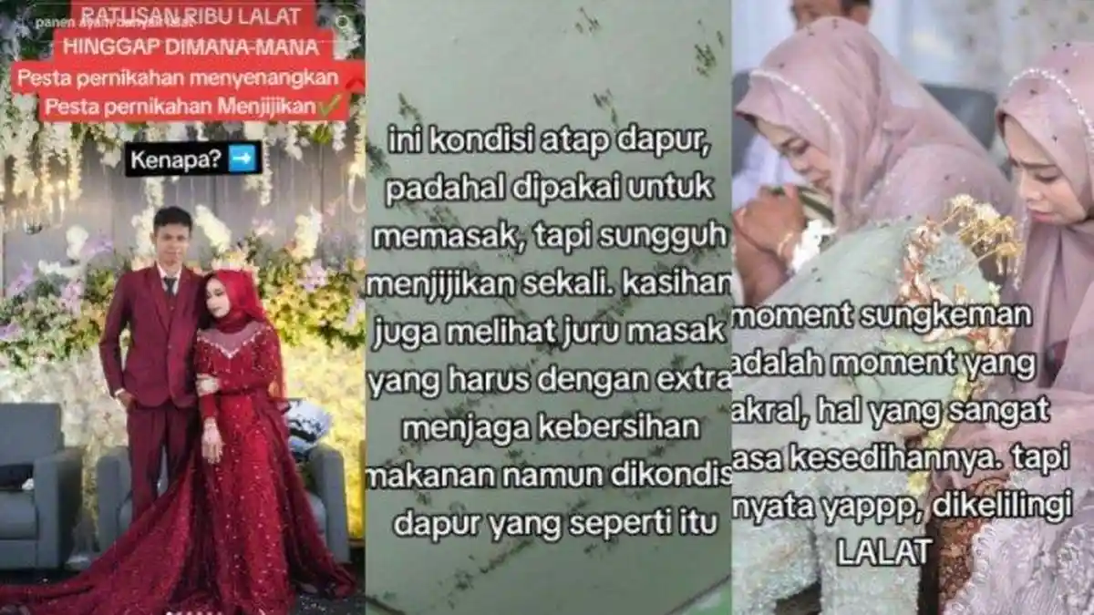 Kabar Pengantin yang Pernikahannya Penuh Lalat hingga Tamu Jijik, Kini Dapat Rezeki Bisa Ulang Momen