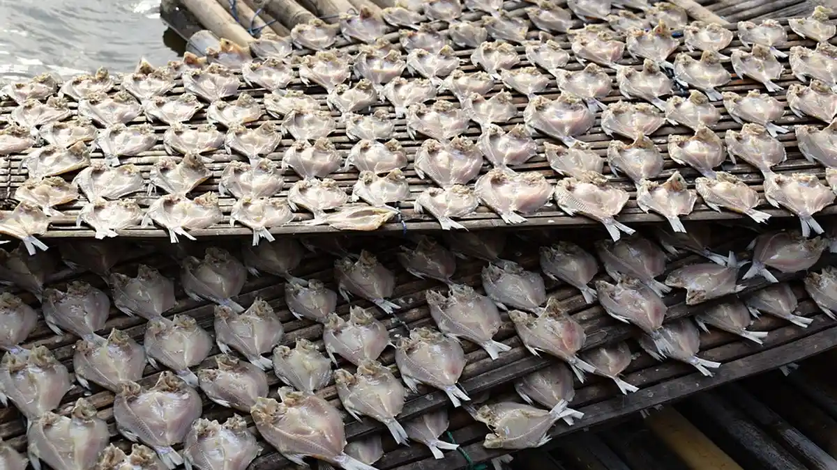 Suka Ikan Asin?Begini Ciri Ikan yang Masih Segar dan Tidak Mengandung Formalin