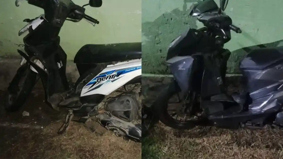Dua Motor Tabrakan di Pesisir Barat, 1 Orang Meninggal Dunia