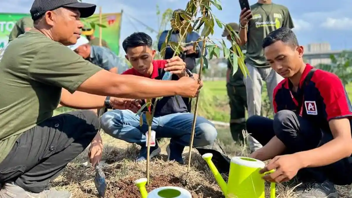 Alfamidi Tanam 17.000 Bibit Pohon di Perayaan HUT ke-17, Ada Tanaman Mangrove
