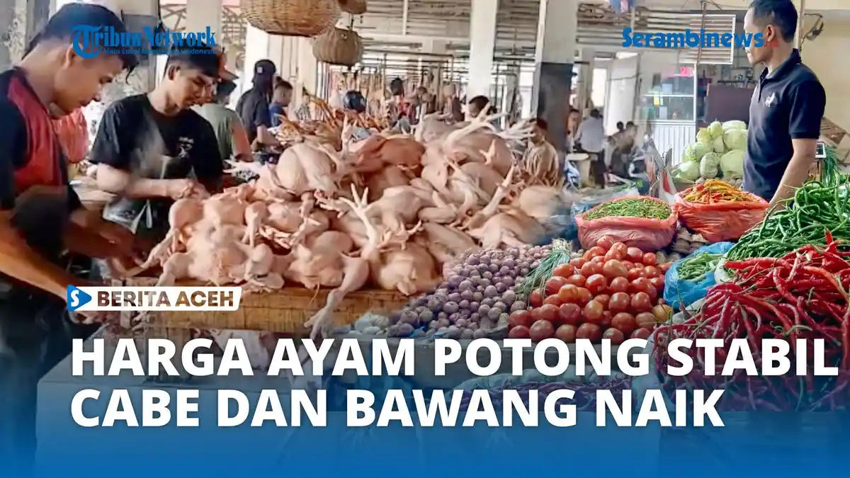 VIDEO - Harga Ayam Potong di Banda Aceh Stabil, Cabai dan Bawang Merah Justru Naik