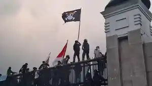 demodpr111111.jpg