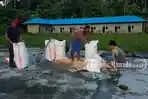petani-jagung-bolsel-memasukan-hasil-panen-ke-dalam-karung_20180518_140051.jpg