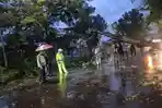 Hujan Deras Disertai Angin, Pohon Besar Tumbang di Jalan Brebes-Jatibarang