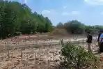 Kirab Pemilu 2024 di Jepara Dimeriahkan 1.000 Orang Tanam Mangrove Pesisir