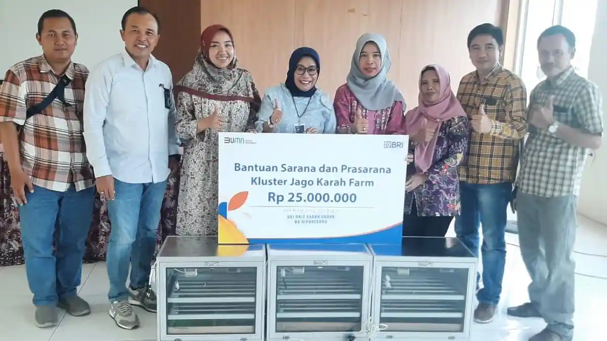 Program Pemberdayaan BRI Bikin Peternakan Ayam di Surabaya Ini Berkembang dan Bantu Banyak Orang