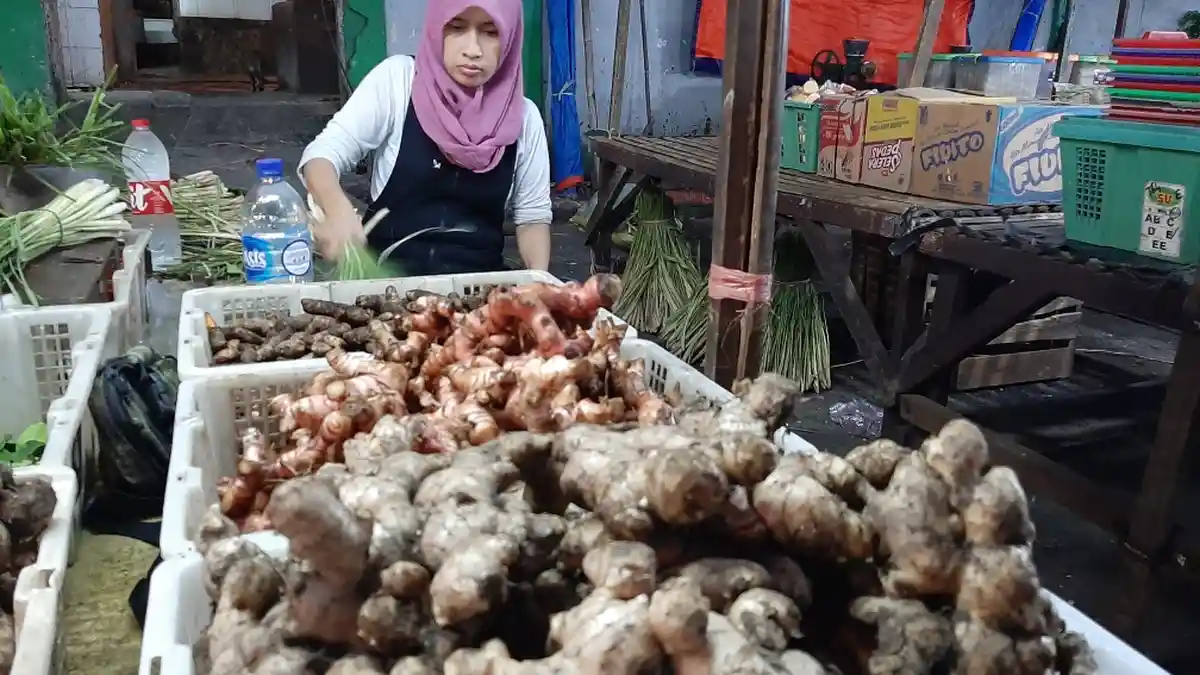 Banyak Diburu Warga, Harga Temulawak, Kunyit dan Jahe Mengalami Kenaikan