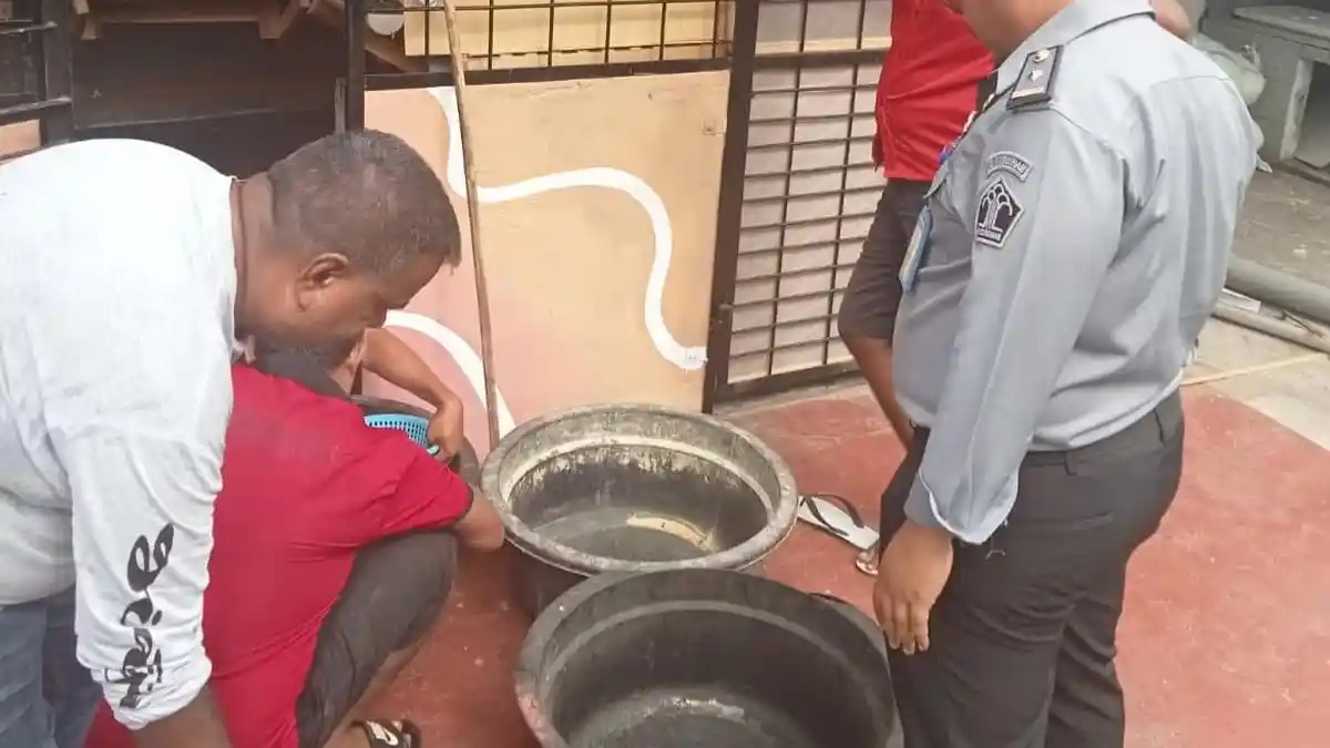 Lapas Kelas 1 Medan Panen Perdana Budidaya Maggot: Hasil Panen untuk Pakan Ternak Ikan Lele