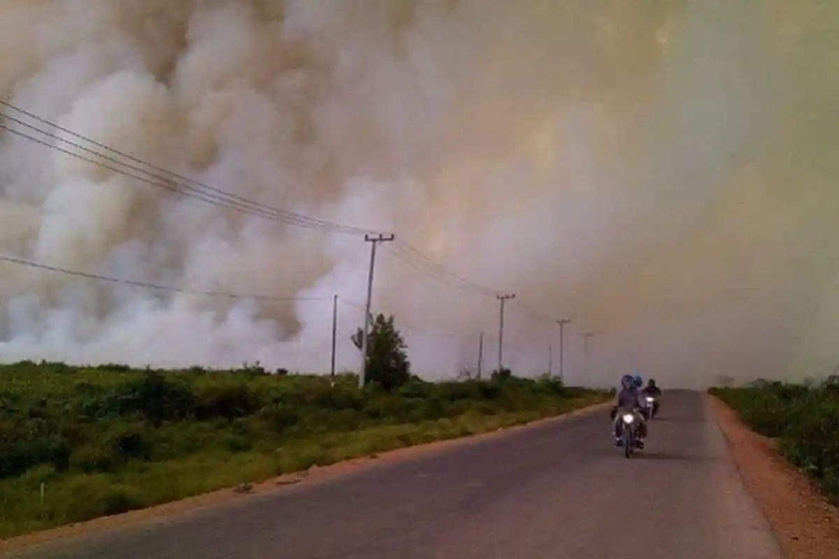 Wacana Daerah Kalimantan Jadi Ibukota, Diduga Jadi Pemicu Warga Kalteng Ramai-ramai Bakar Lahan