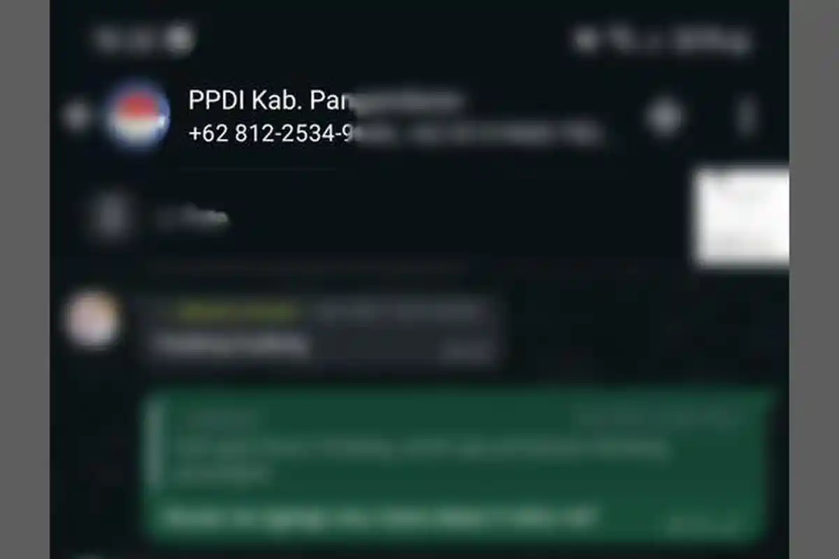 Pilkada Pangandaran 2024, Kadus di Pagerbumi Diduga Berkampanye di WAG, Ini yang Dilakukan KPU