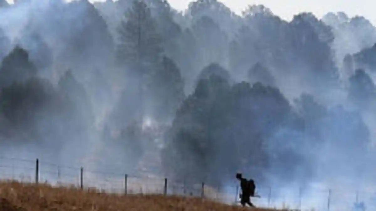 Perubahan Iklim Berpotensi Sebabkan Pandemi Berikutnya