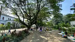 pohon-rindang-di-alun-alun-kota-bogor.jpg