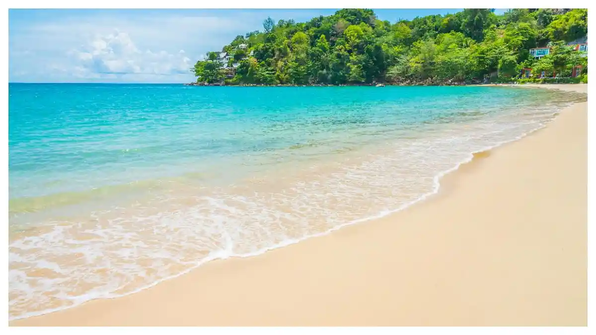 Pantai di Malang Ini Jadi Spot Ideal buat Liburan Tahun Baru, Ada Campingnya Juga
