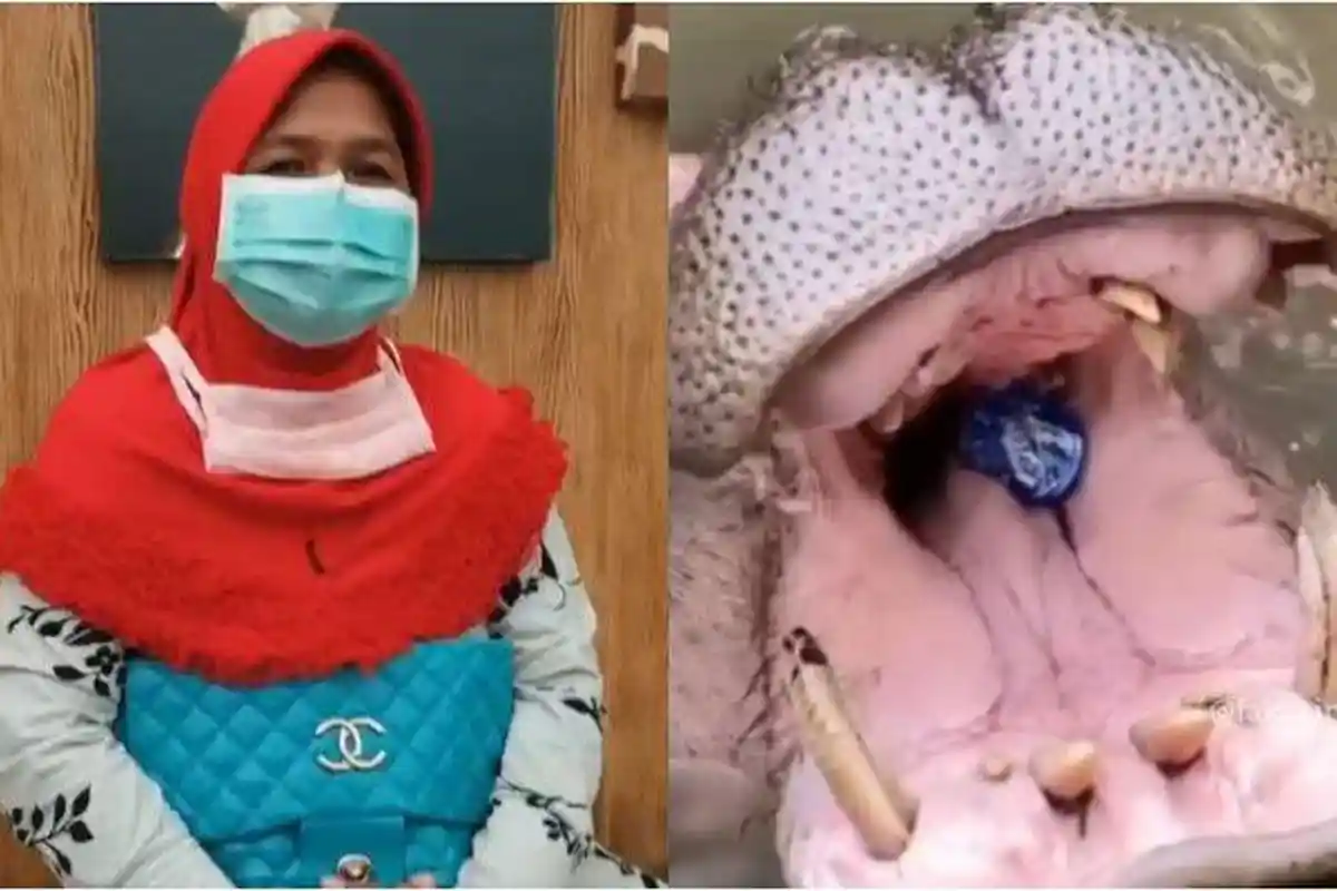 Nenek Pelempar Botol Plastik ke Mulut Kuda Nil, 'Nggak Sengaja'