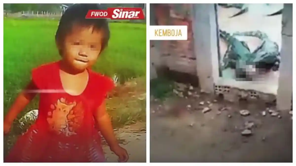Bocah 2 Tahun Tewas di Kandang Buaya Milik Keluarganya Sendiri, Hanya Tersisa Tengkoraknya Saja