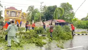 Pohon-tumbang-di-Nunukan-01-29052026.jpg