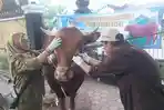 Temuan Cacing Hati di Sapi Kurban Tulungagung, DPKH Pastikan Daging Tetap Aman Dikonsumsi