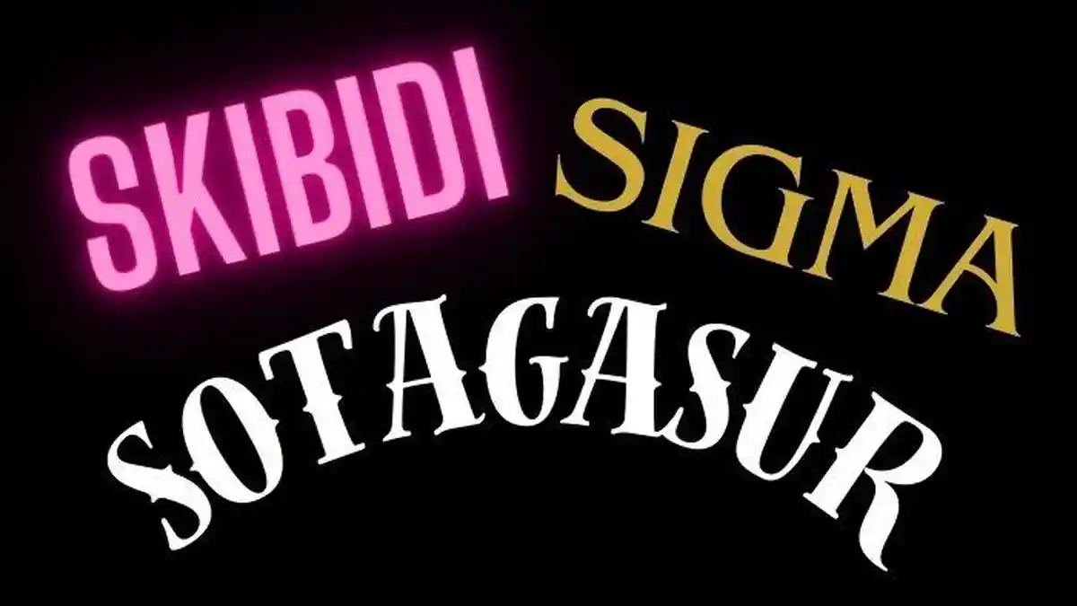 Ragam Bahasa Gaul di TikTok, Mulai dari Skibidi, Sigma Hingga Sotagasur