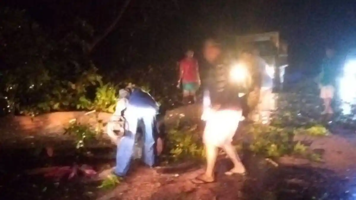 Cuaca Ekstrem Terjang Manado, Ini Daftar Lokasi Pohon Tumbang yang Timpa Rumah dan Mobil