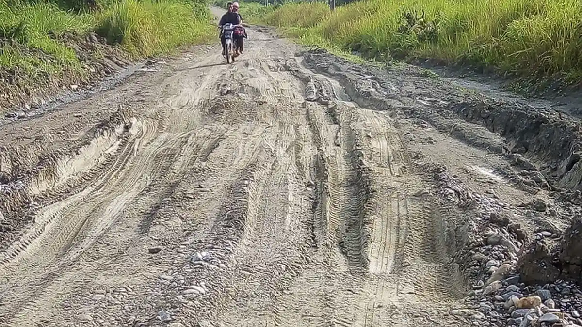 Warga Pante Bidari Minta PT Triangle Pase Perbaiki Jalan Rusak