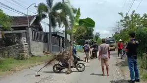 20251127_Jalan-rusak-di-Blora-ditanami-pisang.jpg