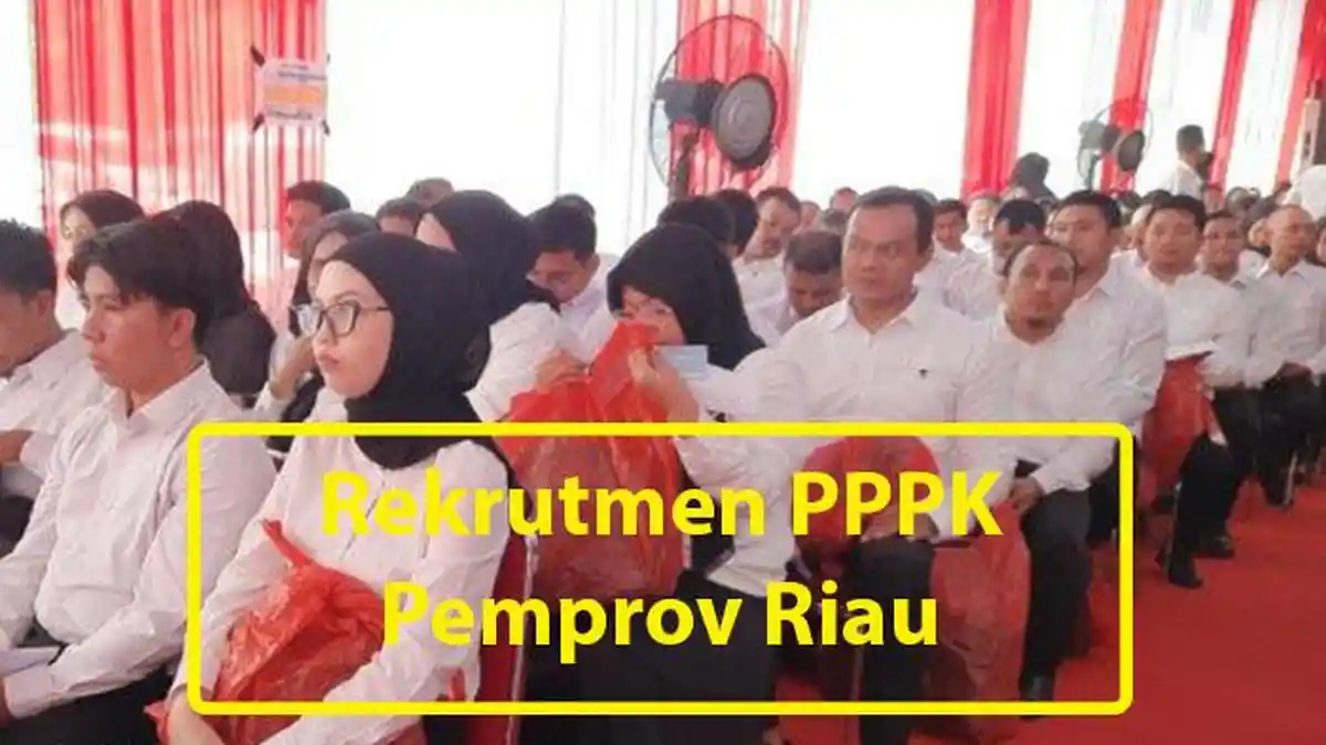 Siap-siap, REKRUTMEN 6 Ribu PPPK Pemprov Riau, Ini Formasi yang Dibutuhkan
