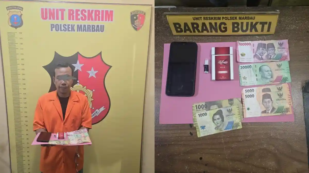 Polsek Marbau Tangkap Pengedar Sabu di Perkebunan