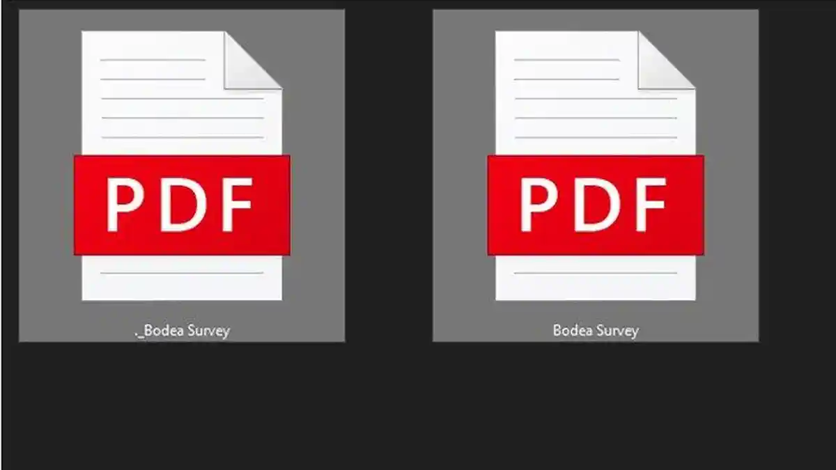 Cara Mengubah Dokumen dari Pdf ke Jpg, Penting Diketahui Pendaftar CPNS 2021