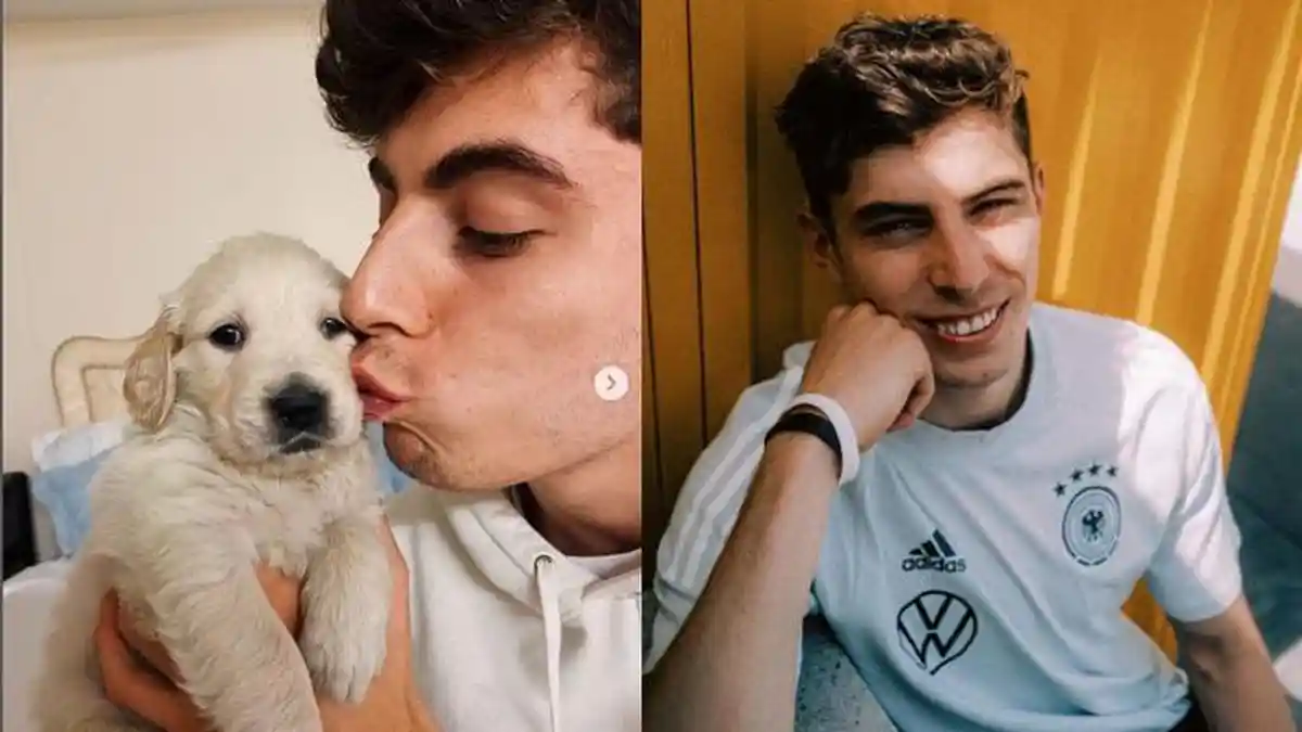 Gelandang Chelsea Kai Havertz Suka Binatang, Pelihara Anjing hingga Keledai