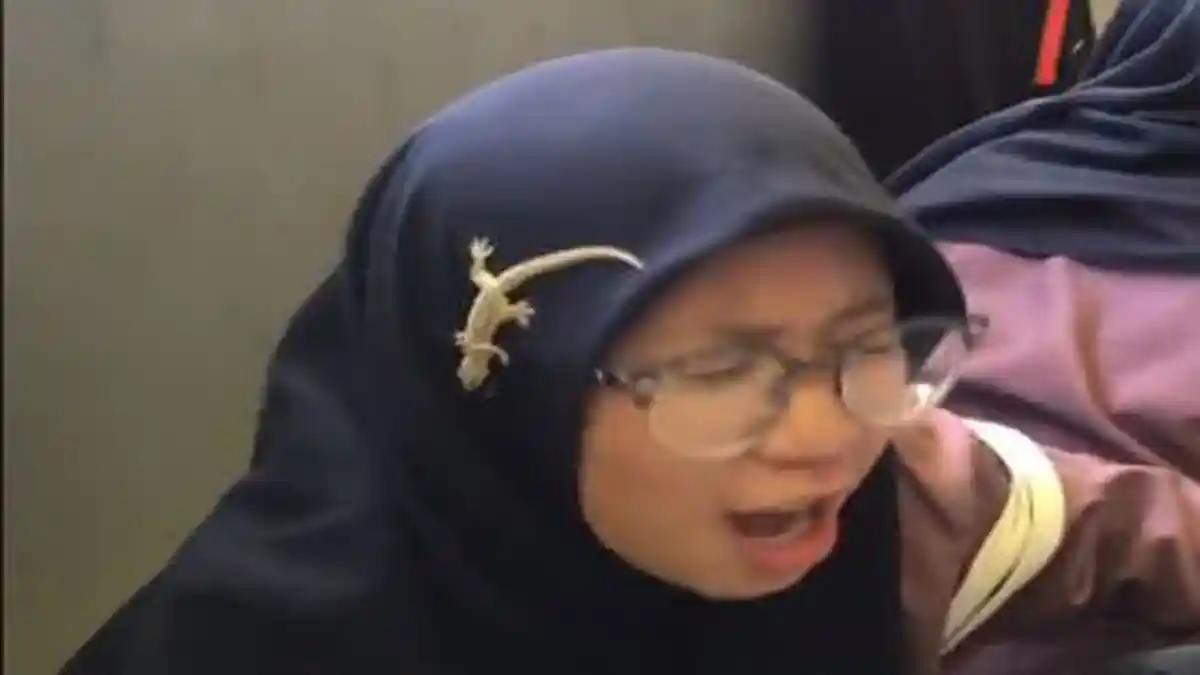 Saat Cicak Jatuh di Kepala Seorang Gadis, Begini Reaksinya Hingga Videonya Viral