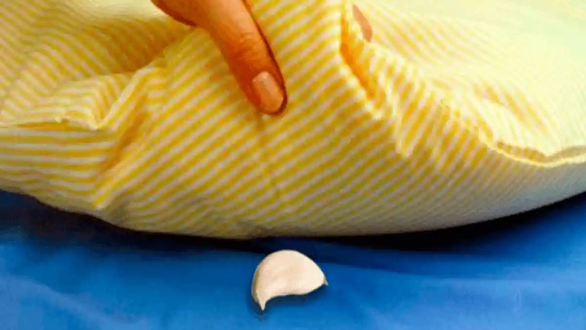 Taruh Bawang Putih di Bawah Bantal, Rasakan Sensasi Bugar Tak Terduga Saat Bangun Tidur!