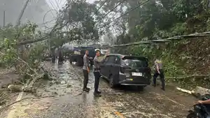 Pohon-Tumbang-di-Puncak-Simbune-Kolaka-Timur-Sulawesi-Tenggara-Sebabkan-Kemacetan-Arus-Lalu-Lintas.jpg