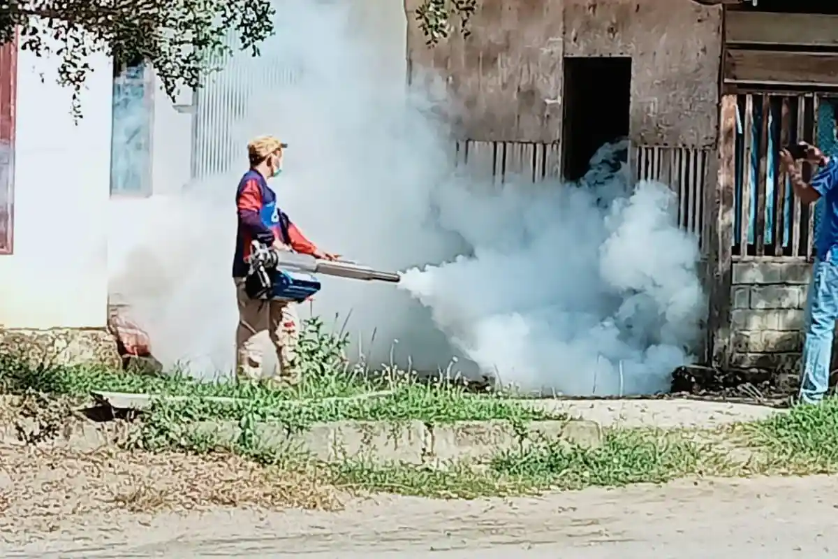 Desa Ambo Padang Tutar Polman KLB DBD, Kasus Melonjak hingga 95 dalam Tiga Pekan