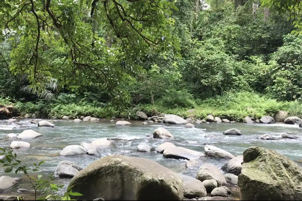 Wisata Alam Aik Nyet Sesaot di Lombok Barat, Lokasi hingga Harga Tiket Masuk