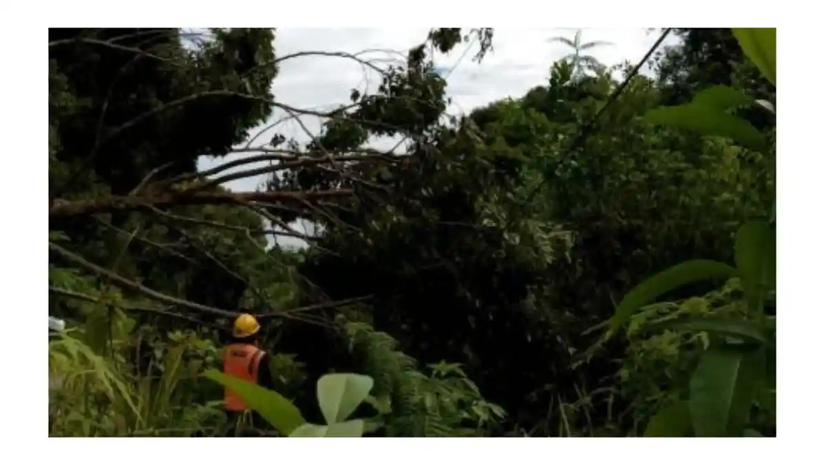 PLN ULP Kairatu Pulihkan Listrik di Inamosol Pasca Cuaca Ekstrem, Suplai Kembali Normal dalam Sehari - gangguan-listrik-perbaikan-4.jpg